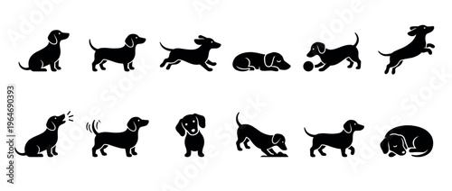 Dachshund dogs vector illustration set depicting various poses and activities of the popular short-legged canine breed.