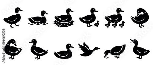 Illustrative set of duck and duckling silhouettes depicting various common behaviors and family interactions in a simple graphic style.