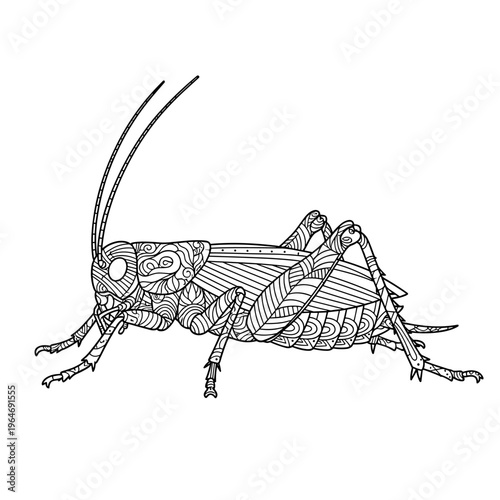 Zentangle grasshopper vector illustration, ornate cricket line art with geometric patterns, decorative insect coloring page for adults