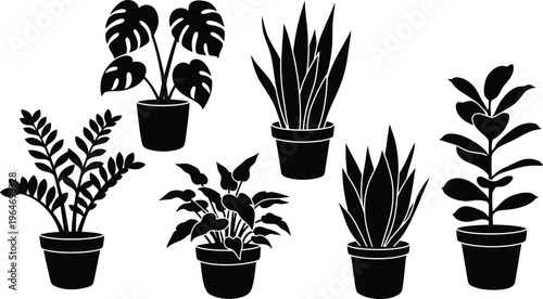 Set of silhouette indoor house plants in pots for home decor with potted plant with snake plant