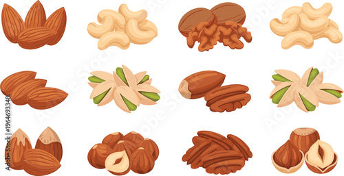 Assorted Nuts Collection Featuring Almonds Cashews Walnuts Pistachios Hazelnuts Pecan Healthy Snack Food Set Detailed Vector Illustration