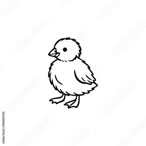 Minimalist Baby Chicken Outline Vector Illustration Isolated on White Background