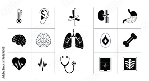 Medical Icons Set: Health, Science, and Anatomy Illustrations