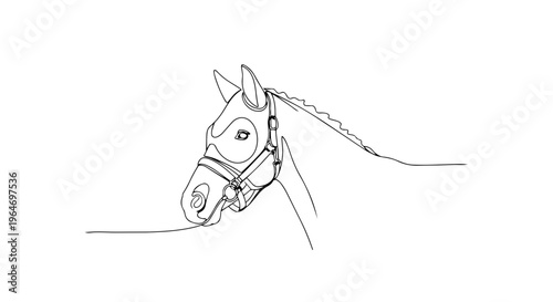 Horse head with bridle profile. One line drawing minimalist vector illustration. Equestrian and animal concept isolated on white background