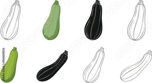 Zucchini vegetable vector set. Whole courgette in outline and solid styles. Fresh green squash illustrations for healthy food design, organic farming, and cooking concepts.