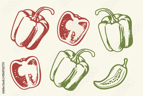 A colorful illustration of six sketched bell peppers in varying shades