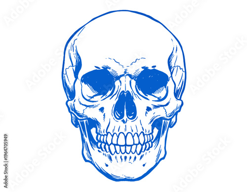 An illustration of a living skull featuring a crown and Scary holidays set vintage flyers monochrome skulls wishing merry Christmas and Halloween and head in Saint Patrick hat vector illustration