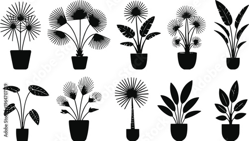 Potted plant silhouettes collection indoor houseplants decorative foliage black vector illustration isolated design elements set