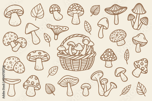 A collection of hand drawn mushrooms leaves and a woven basket illustration