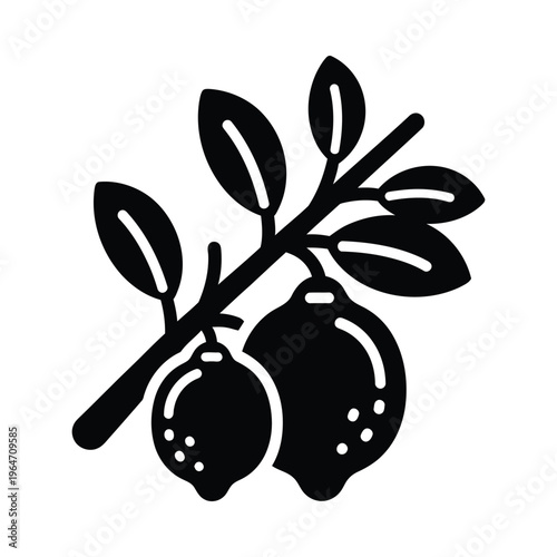 Black silhouette of a branch with olives