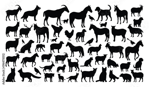 Collection of diverse dog breeds in black silhouette