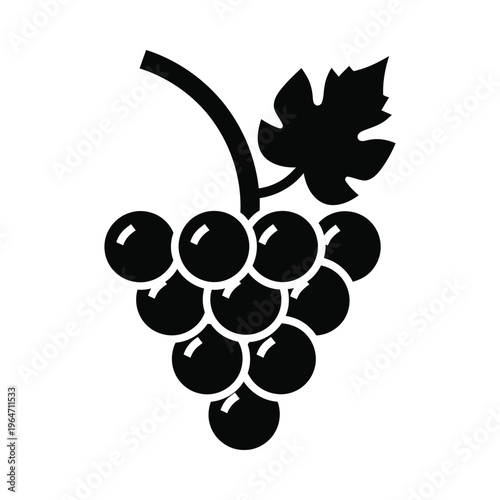 Fotografie A black and white image of a bunch of grapes