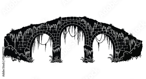 A detailed illustration of an ancient stone bridge with multiple arches and overgrown vegetation a striking silhouette high quality professional modern