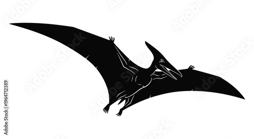 A striking black silhouette depicts a pterodactyl in flight showcasing its large wingspan and distinctive form silhouette high quality professional detailed