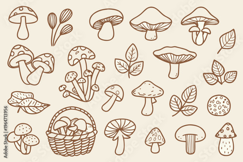 Hand drawn illustration of various mushrooms and forest foliage
