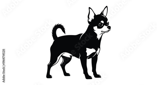 A striking black silhouette of a chihuahua gazing forward with alert eyes and a curled tail silhouette high quality professional detailed