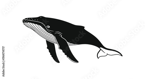 A striking black silhouette of a humpback whale gracefully swimming showcasing its massive form and tail silhouette high quality professional detailed