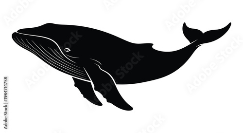 A striking black silhouette of a humpback whale swimming gracefully showcasing its majestic form silhouette high quality professional detailed modern elegant