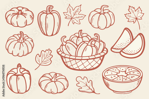 Autumn harvest illustration featuring pumpkins peppers maple leaves and gourds