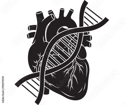 Heart anatomical with DNA double helix structure and detailed vascular system featuring organ, medical, biology with health and anatomy elements for