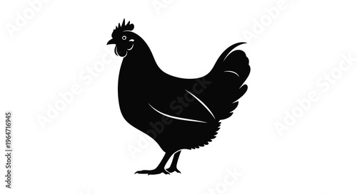 A striking black silhouette of a rooster stands prominently against a white background showcasing its detailed form silhouette high quality professional