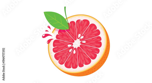 A vibrant stylized illustration of a grapefruit half with splashing juice showcasing a bold silhouette high quality professional detailed modern elegant