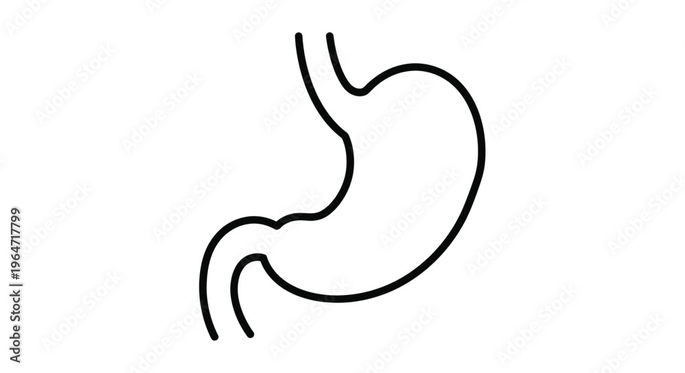 Fototapeta premium Simple line drawing illustrates a human stomach black silhouette