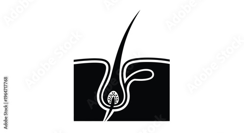 Diagram of a hair follicle and root simplistic black silhouette