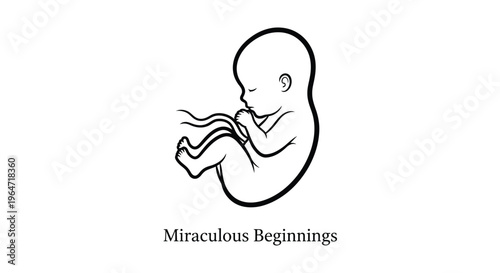 Fetal position depiction a delicate outline of new life silhouette