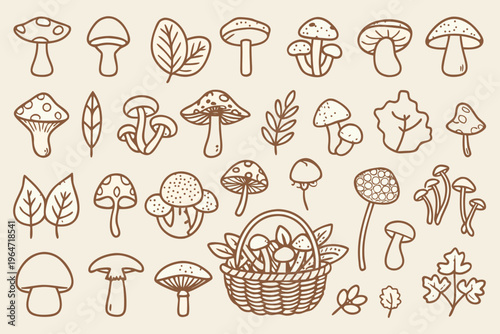 A collection of hand drawn mushrooms leaves and a woven basket