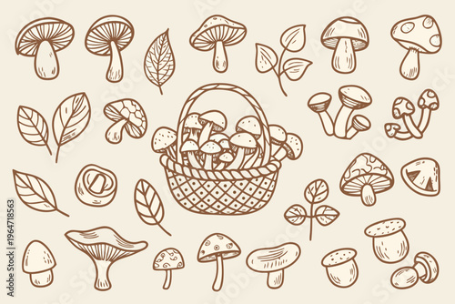 A vintage illustration of various mushrooms and foliage in a basket