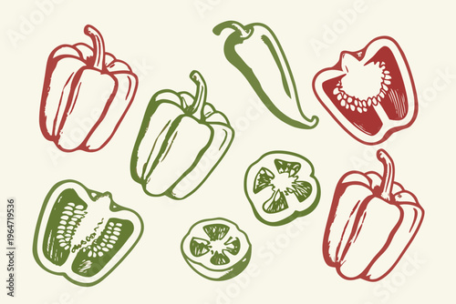 Hand drawn illustration of colorful bell peppers in various arrangements