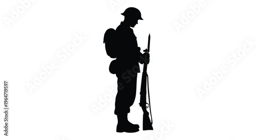 A solitary soldier stands guard with rifle a striking silhouette