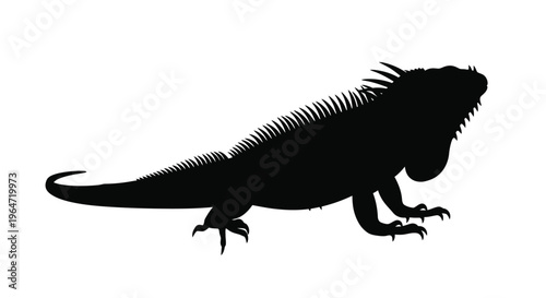 Black iguana side profile detailed scales and tail dramatic silhouette