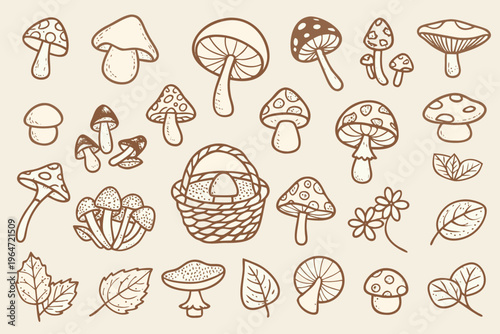 A collection of hand drawn mushrooms foliage and a woven basket