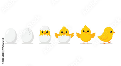 A chick s life cycle depicted through stages of hatching and growth