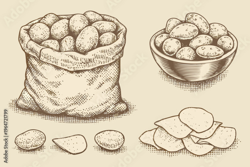 Vintage sketch of potatoes in a sack bowl and sliced into chips