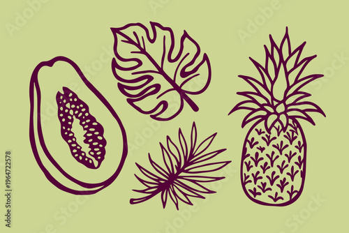 Stylized botanical illustration featuring papaya monstera and pineapple fruits