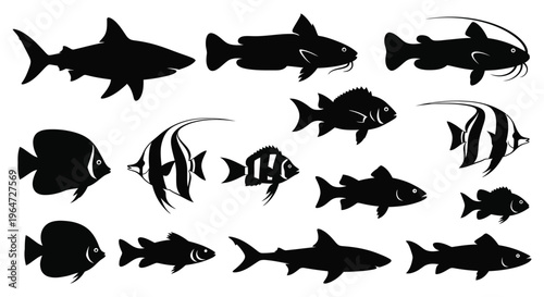 A collection of diverse fish species are presented in stark black silhouettes against a white background silhouette high quality professional detailed