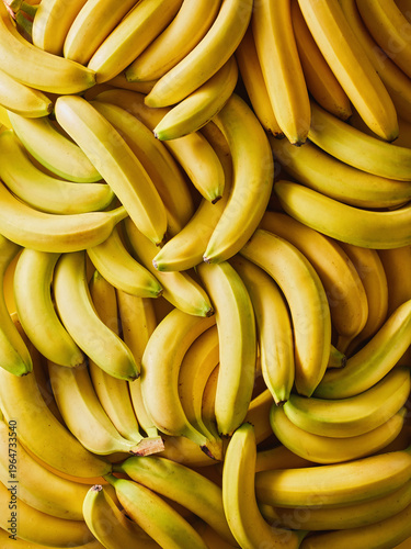 This image showcases a vibrant collection of ripe bananas arranged closely together