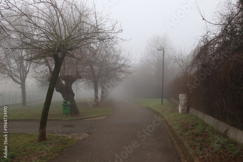 Empty asphalt path in a public park covered in thick winter fog, Castenedolo, Italy
