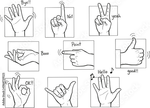 Vector illustration of cartoon hand gestures with text labels including wave, peace, thumbs up and OK