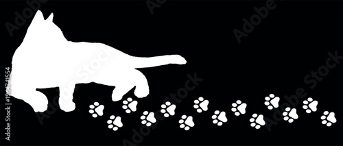 Paw Prints Background. Cute pets and Dogs pets paw print isolated on white background.