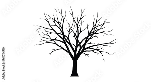 Bare tree branches reach upwards against a white background silhouette