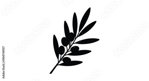 A detailed branch of olives and leaves in stark contrast silhouette