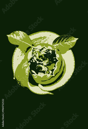 Creative representation of earth emerging from a lime peel, symbolizing environmental consciousness and the connection between nature and planet preservation