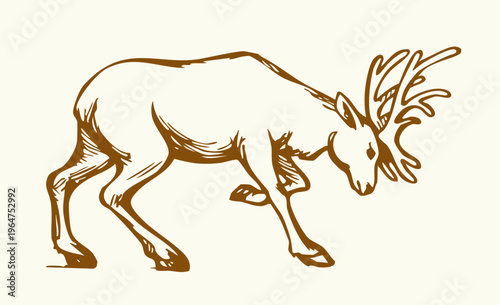 Vector drawing. The reindeer bent its antlers