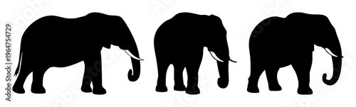 Elephant icon set with black silhouette on white backdrop featuring wildlife conservation, endangered species, iconography with high contrast and minimalist design