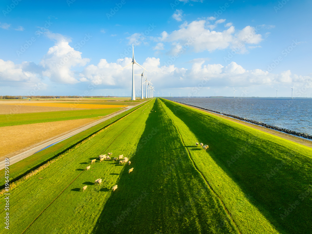 Obraz premium Aerial view of sheep herd on green field with wind turbines near sea and dam. Scenic rural landscape with farm animals, wind generators and cloudy sky at sunset. Renewable energy and agriculture.