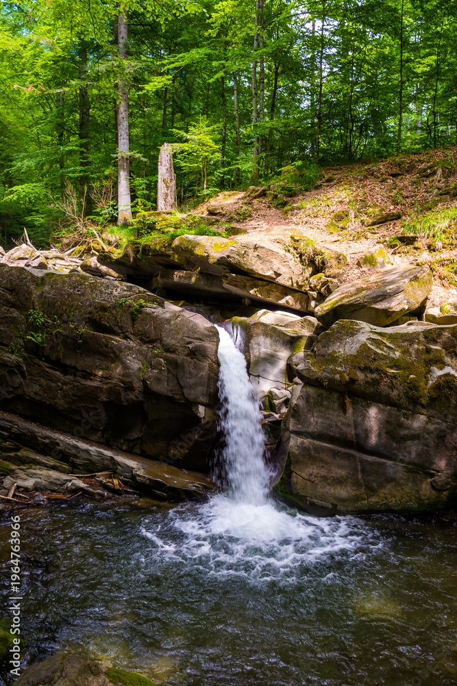 Fototapeta premium landscape with small waterfall surrounded by the beech forest on a summer day. rocks with moss in dappled light. pristine nature scenery on the turychka river in ukraine. wonderful ecosystem of europe